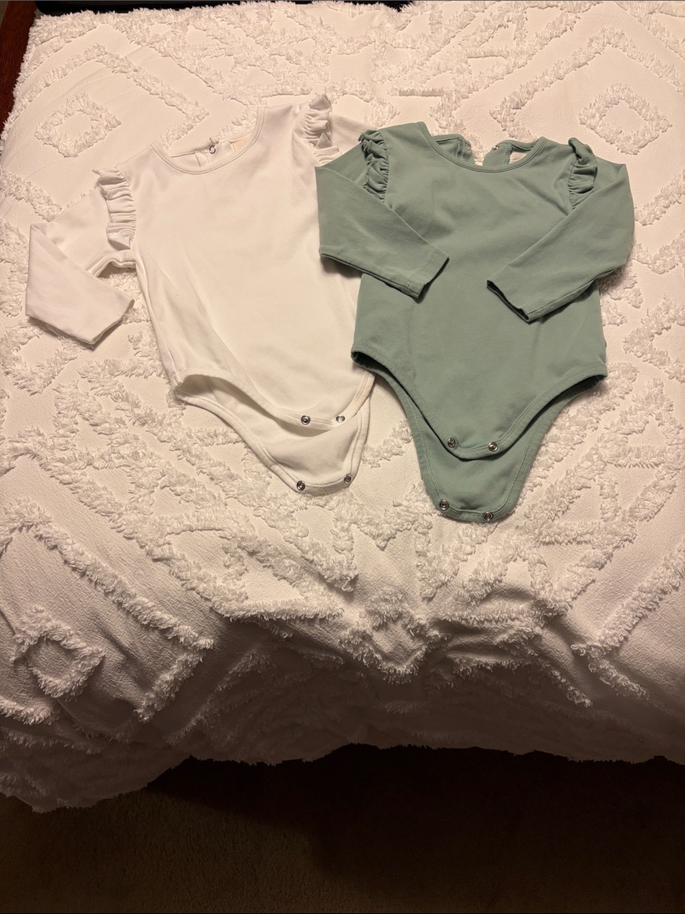 Vignette bodysuits, Twin Girls, 18-24 months.